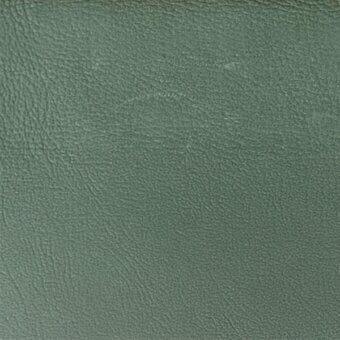 Sage green leather texture with a pebbled grain, matte finish, and subtle tonal variations; studio lighting, egoitaliano "rio" 1147 collection.